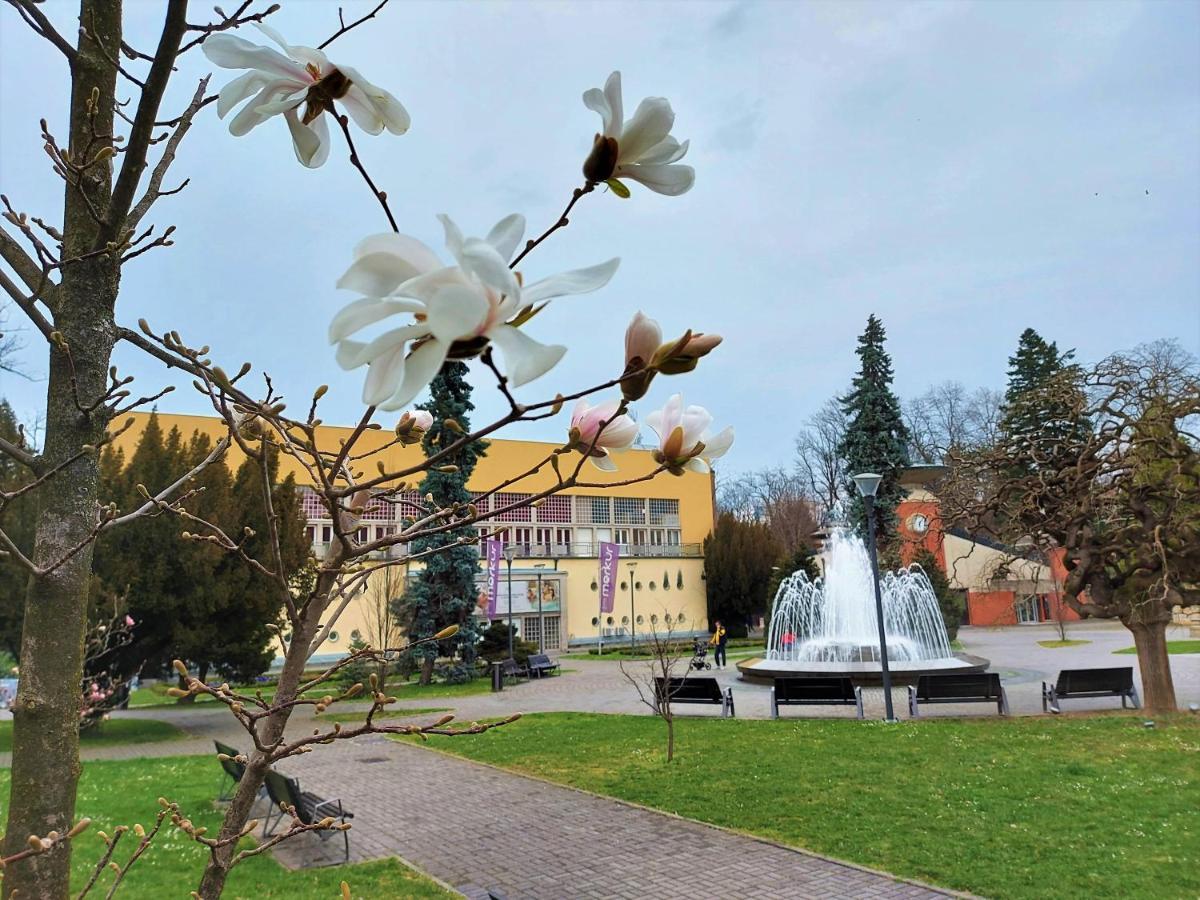 Apartman Modena Lux Vrnjačka Banja Exterior foto